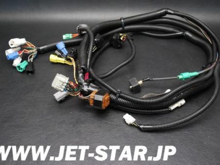 Kawasaki 1200STX-R  02 OEM HARNESS Used [X508-037] Sale